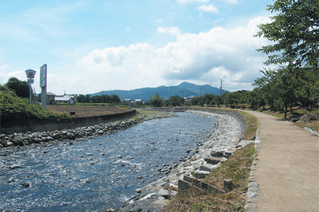 河川設計（水辺空間護岸）